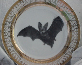 Gold or Silver Porcelain Bat Plate or Cup and Saucer Set (8 Ounces). Foodsafe and Durable Halloween Plate.