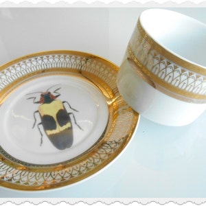 Gold Porcelain Bug Plate, Insect Plate, Bug Dish, Insect Dish ...