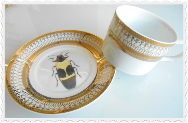 Insect Plate Design Gold Porcelain Bug Plate, Insect Plate, Bug Dish, Insect Dish ...