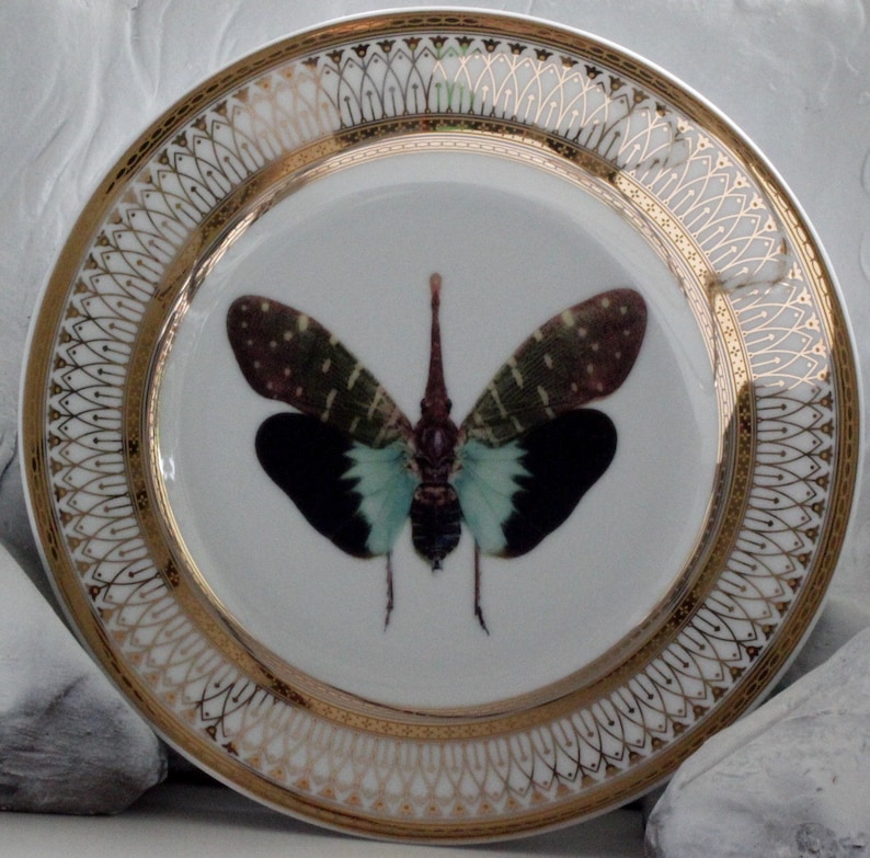 Gold Porcelain Butterfly Plates Foodsafe Insect Dishes Bug Etsy