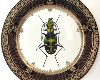 FREE SHIPPING-Gorgeous Black and Gold Insect Plate / Bug Plate, Various Sizes. Foodsafe, Extremely Durable