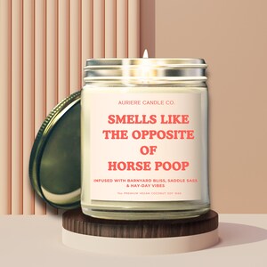 Funny Horse Lover Candle, Opposite of Horse Poop, Sarcastic Humor Equestrian Themed Gift, Scented Candle