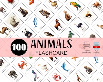 Schede didattiche sugli animali per bambini Schede didattiche sugli animali Programma scolastico prescolare Schede didattiche digitali Montessori Animali