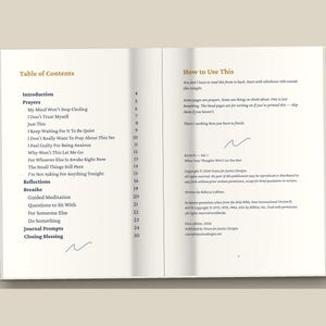 Puede incluir: Un libro abierto que muestra una tabla de contenidos en la p&aacute;gina izquierda y una secci&oacute;n de instrucciones en la derecha. El texto incluye t&iacute;tulos como My Mind Won't Stop Circling, I Don't Trust Myself y Guided Meditation con n&uacute;meros de p&aacute;gina.