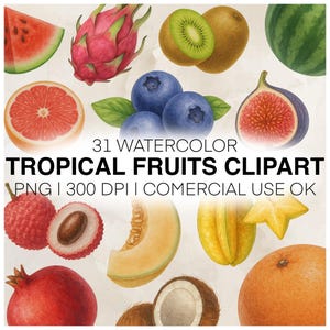 31 Watercolor Tropical Fruits Clipart | 31 Exotic Fruit PNG | Perfect for planning, journaling, decorating | Watermelon, pineapple, coconut
