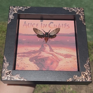 May include: Framed album art for the band Alice in Chains, titled "Dirt." The artwork features a cicada insect over a nude figure in water, with a pink and orange background. The frame is black with ornate gold corner accents.