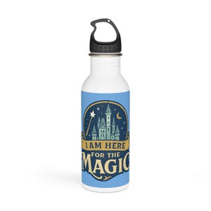 Disney Themed Stainless Steel Water Bottle, Disney Water Bottle, Stainless Steel Bottle, Disney Drinkware, Gift for Disney Fan, Disney