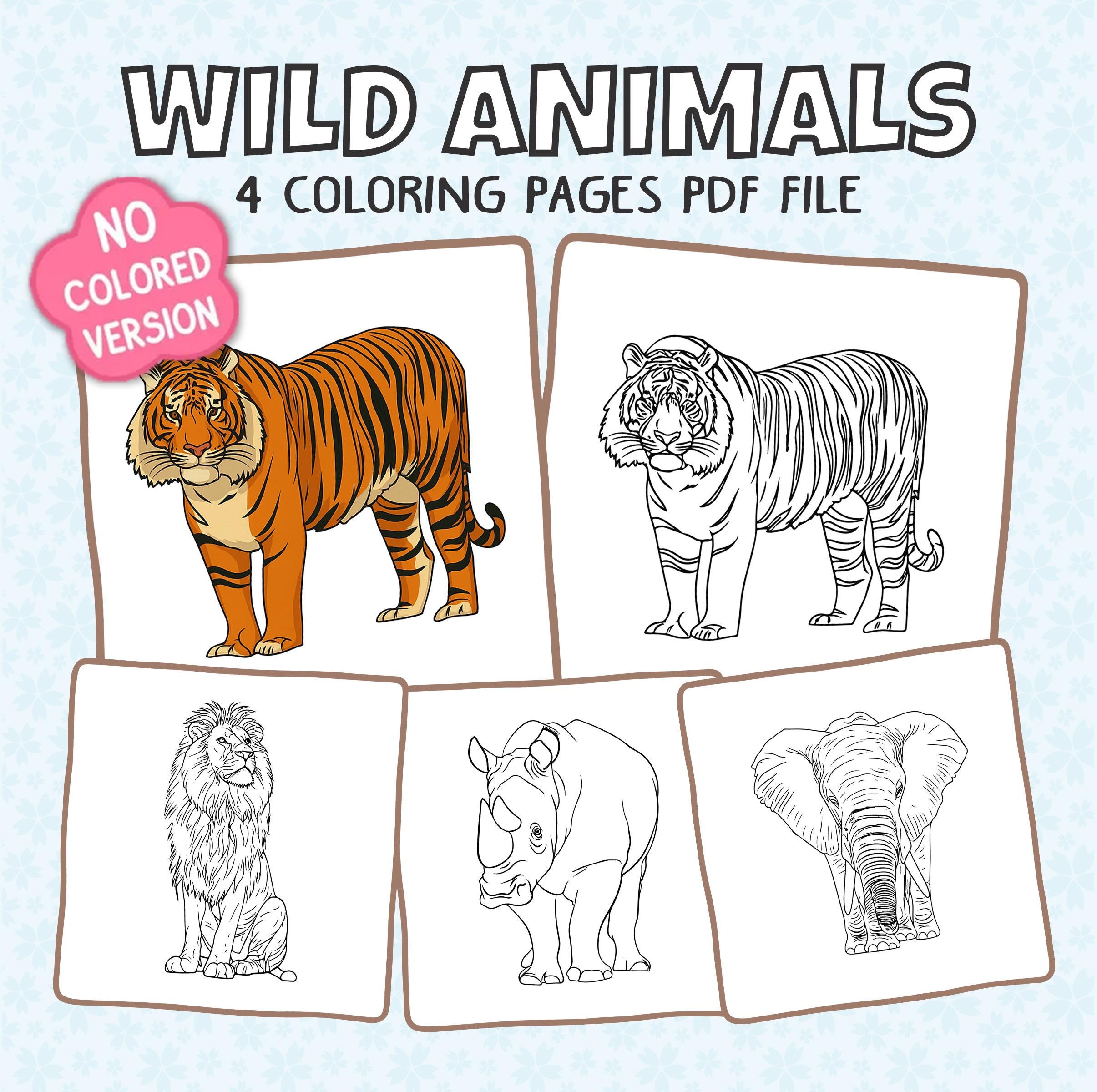 Untitled, image size:2411x2400