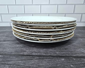 Juego de 6 platos llanos redondos World Market de 10 5/8" en blanco sólido, 6 piezas, vajilla clásica