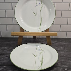 Puede incluir: Dos platos de cerámica blanca con borde verde y diseño floral. Los platos presentan una ilustración estilo acuarela de iris moradas y tallos verdes. Un plato se exhibe sobre un caballete de madera.