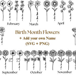 May include: A black and white line drawing of birth month flowers, each labelled with a month and a space for a name. The design includes flowers for January to December, with the text "Birth Month Flowers + Add your own Name (SVG + PNG)".