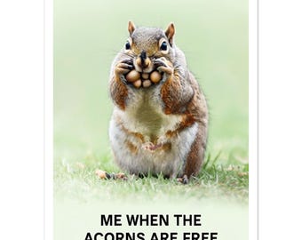 Squirrel Acorn Frenzy Poster: Humorous Woodland Wall Art with Hanger
