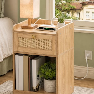 May include: A light wood nightstand featuring a top surface with a built-in power strip, a single drawer with a woven rattan front panel and a round gold knob, and an open lower shelf containing several books and a small potted green plant.