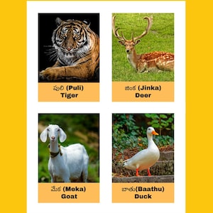 Telugu Animal Flashcards with English Translations | Kids Learning Printable PDF