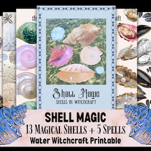 Shell Magic Printable, 13 Detailed Magical Shells Grimoire, Water Witchcraft, Spiritual Altar, Prosperity Love Protection Spells Digital PDF