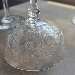 Floral etched cocktail / martini Glasses set