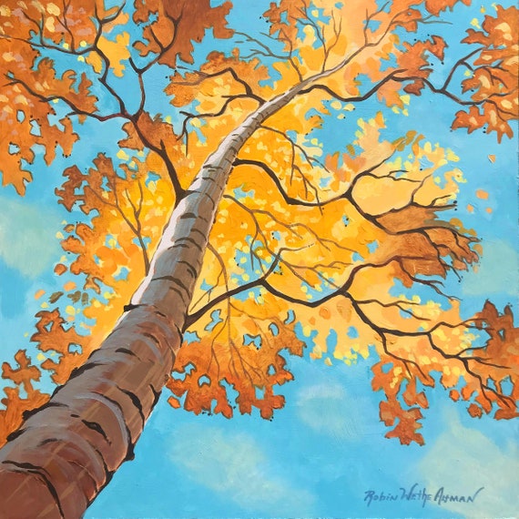 Birch tree in Fall, looking up at a Birch tree, Fall trees, yellow leaves blue sky, Birch tree, art by Robin Altman, nature painting, print