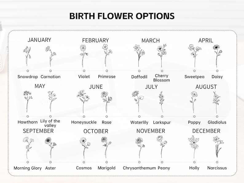K&ouml;nnte beinhalten: Eine Tabelle mit dem Titel "GEBURTSBLUMEN-OPTIONEN" zeigt Strichzeichnungen von Blumen, die jeweils einen Monat repr&auml;sentieren. Januar zeigt Schneegl&ouml;ckchen und Nelken, w&auml;hrend Februar Veilchen und Primeln zeigt. Die Tabelle setzt sich bis Dezember mit Stechpalme und Narzisse fort.