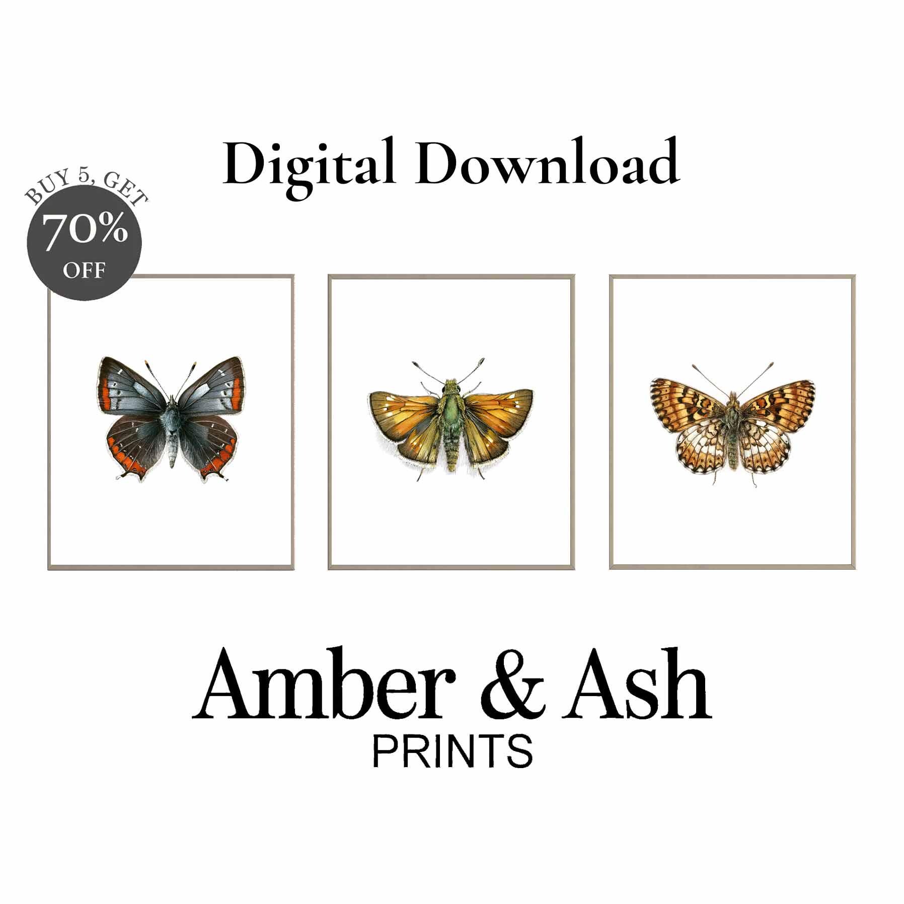 Vintage Butterfly Prints | Colorful Wall Art Set (digital Download) - Etsy