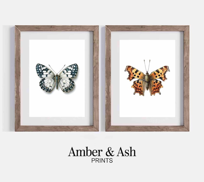 Vintage Butterfly Prints | Colorful Wall Art Set (digital Download) - Etsy
