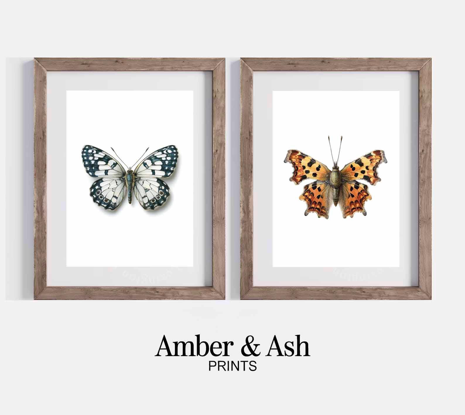 Vintage Butterfly Prints | Colorful Wall Art Set (digital Download) - Etsy