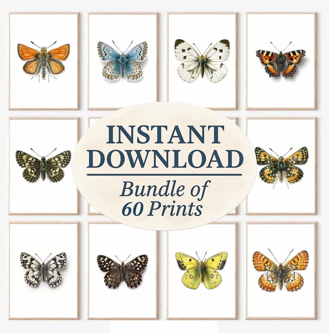 Vintage Butterfly Prints | Colorful Wall Art Set (digital Download) - Etsy