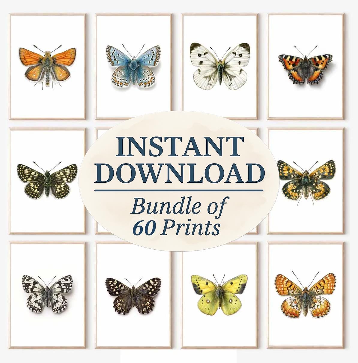 Vintage Butterfly Prints | Colorful Wall Art Set (digital Download) - Etsy