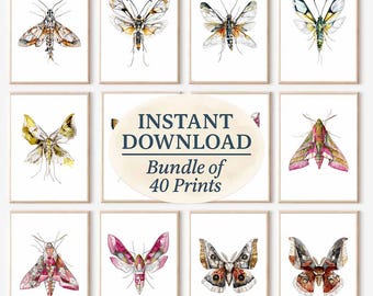 Vintage Moth Prints | Minimalist Wall Art Set (Digital Download)