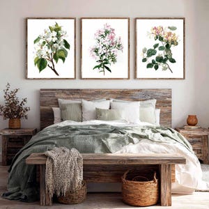 Botanical Vintage Art Prints Bundle: Cottagecore Gallery Wall (Digital Download)