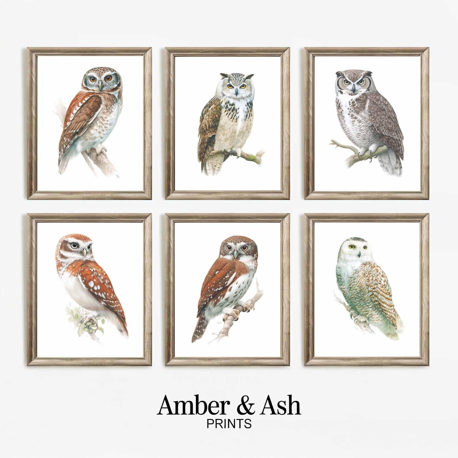 Vintage Owl Art Prints, Botanical Illustrations, Set of 10 (Digital Download)