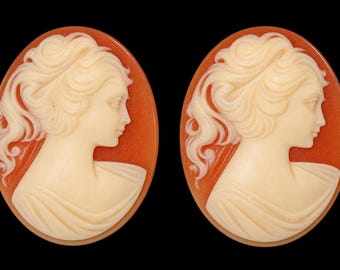 Resin cameos, 40mm x 30mm, set of 23