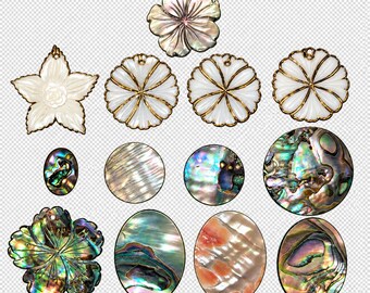 Set of 13 shell cabochons and findings largest is 40x30mm.
