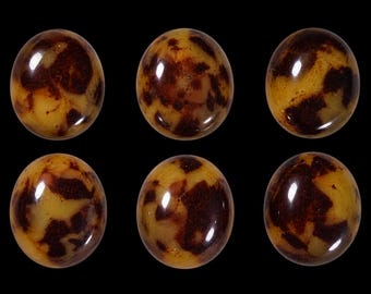 Set of 252 vintage 10x12 mm Hornshell plastic cabochons