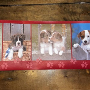 May include: A decorative strip featuring images of puppies. One puppy is in a wicker basket, two are together on a fence, and another is peeking over a fence. The strip has a red border with paw print designs.