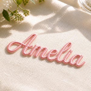 May include: A pink embroidered patch featuring the name Amelia in a cursive script font. The lettering is stitched with a raised, rounded texture and a glossy finish, creating a distinct three-dimensional appearance against the fabric surface.