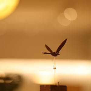 Handmade Wooden Swan Automata | Mechanical Kinetic Sculpture | Wood Art Décor | Home & Office Gift | Ocean Gift