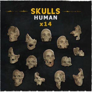 Human Skulls  Basing Bits Set
