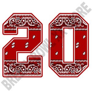 Chris Brown PNG: High-Resolution T-Shirt Design (Digital Download)