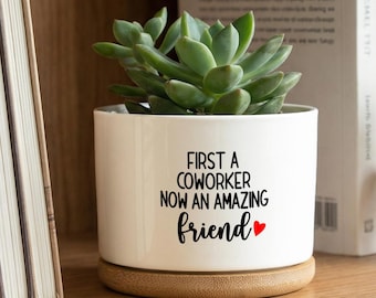 Coworker Leaving Gift Planter, First a Coworker Now a Friend Desk Decor, Office Goodbye Gift, Work Bestie Gift