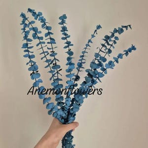 Colorful Stabilised Eucalyptus Bunch 100g, Preserved Eucalyptus for Home Decor, DIY Bouquets, Wedding Arrangements and Crafts