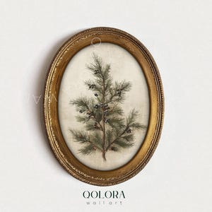 Puede incluir: Una impresión enmarcada ovalada que presenta una ilustración detallada de una rama de pino con bayas oscuras. El marco es de color dorado envejecido y la obra de arte se encuentra sobre un fondo neutro. La impresión está etiquetada como "QOLORA wall art".