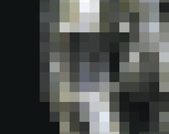 Limited Edition Print - VIII:Xulon