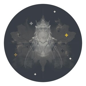 The Transfiguration