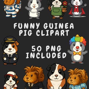 50 Guinea Pig PNG Cliparts, cute, funny piggies in different poses, Digital Download