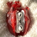 Silicon AirPods Case Heart Design \u2013 Protective Glossy AirPods Cover With Unique Anatomical Style, Durable Portable Accessory For Music Lover
