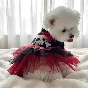 Halloween Pirat Haustier Kostüm: Schädel Hund Kleid, Herbst Hochzeit Outfit