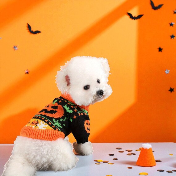 Pumpkin Halloween Pet Sweater: Knit Dog Cat Pullover - Etsy Israel