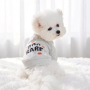Embroidered Pumpkin Ghost Pet Sweater: Halloween Dog Cat Pullover