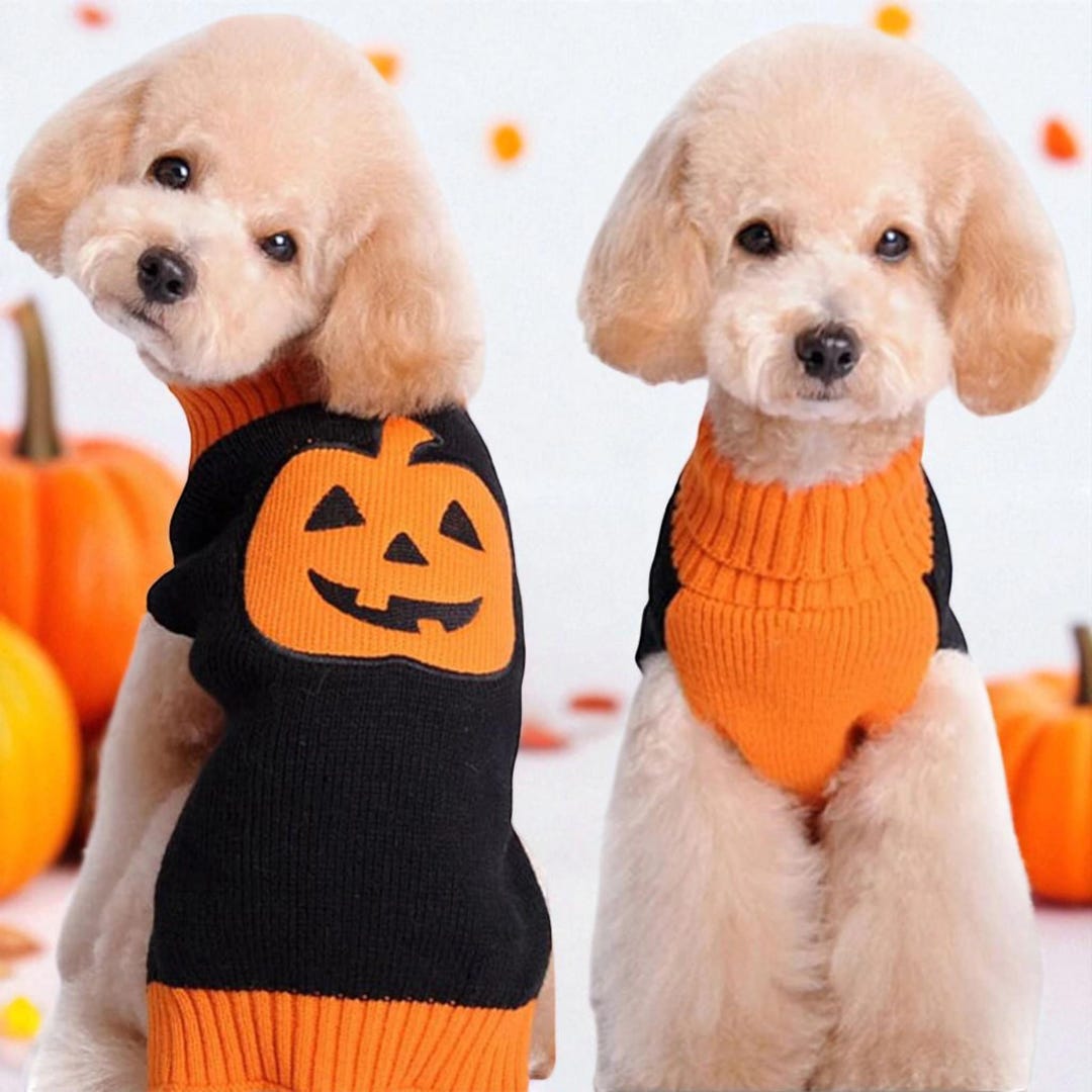 Halloween Pumpkin Dog Sweater: Knit Pet Costume for Small/medium Dogs ...