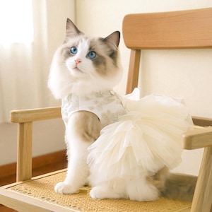 Luxury Cat Dress: Elegant Tulle Pet Skirt, Wedding Outfit